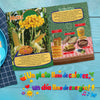 COLECCIÓN EL PLATO DEL BIEN COMER