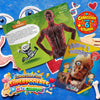 Colección Cuerpo Humano